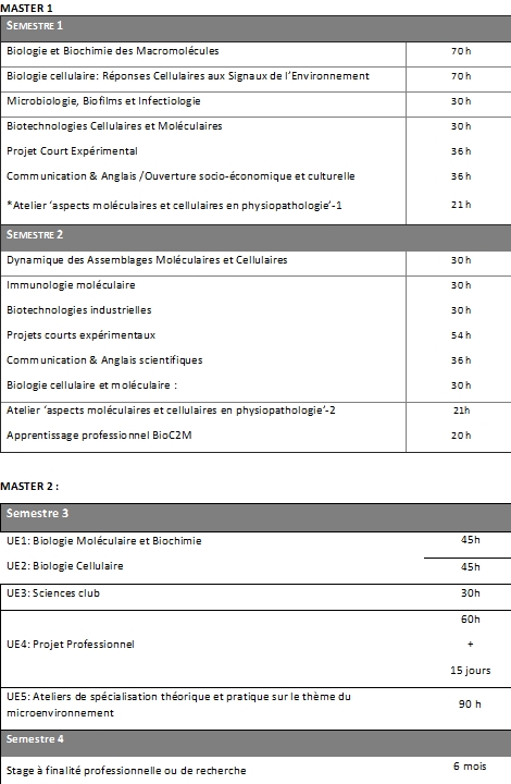 Programme Master BioC2M