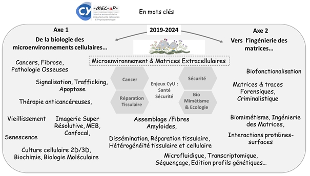 Mots Clés MecUp
